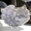 Cristal Casheena