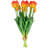 18 " Tulip Arrangement