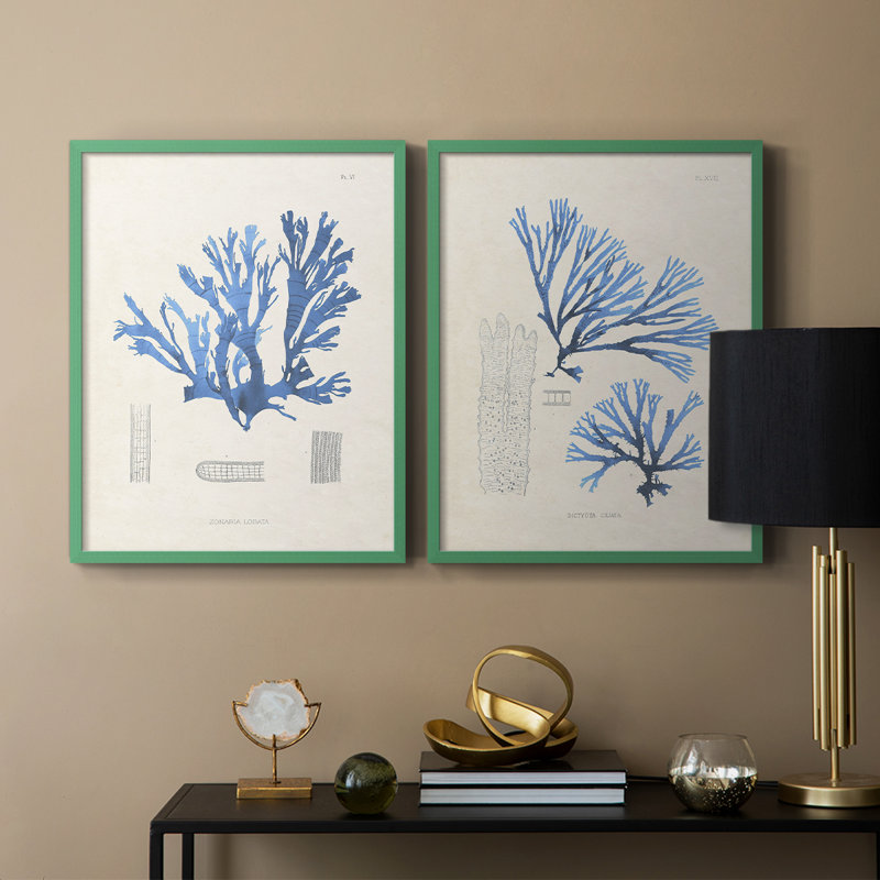 Algue bleue bleue - reproduction encadrée de qualité supérieure - prête à être accrochée - aucun clou requis - aucun clou requis