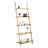 Ladder Bookcase