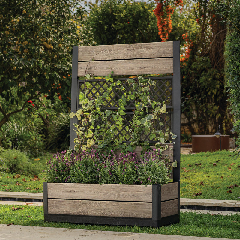 Keter Tulip Screen Planter - Ashwood Brown