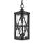 Luminaire suspendu Millbrooke de Génération Lighting 
