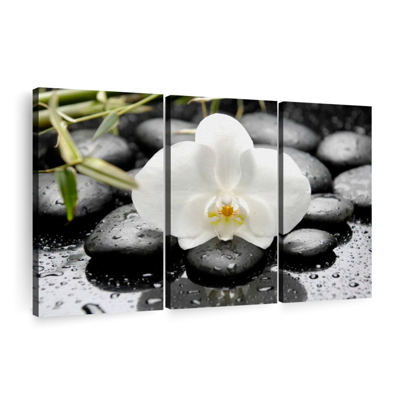 " White Orchid ", 24" H x 38" W