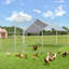 Parc à poules avec grillage Deryck