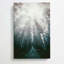 Down The Forest Path In Abstract by Pierre-Joseph Redoute - Wrapped Canvas Painting-55342378