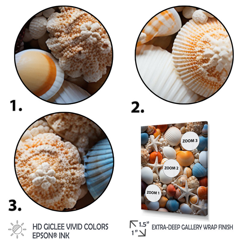 " Beach Photo Seashell Symphony VI ", 32" H x 16" W x 1" D, Gold Picture Framed