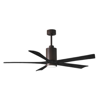 Patricia 60'' Ceiling Fan with LED Lights