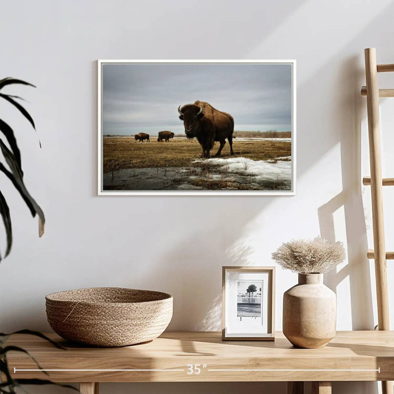 Bison Cloud Day, Cadre flottant blanc, 19 po x 13 po