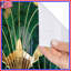 Rideau de douche Bohdie-229095581