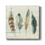 Shiplap Feathers I - Impression sur toile tendue-1290359244
