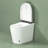 Compact Smart Toilet With Bidet Seat Built-In
