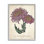 «Botanical Chrysanthemum Flower Pink Yellow», impression