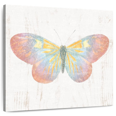 Papillons de grange blancs I