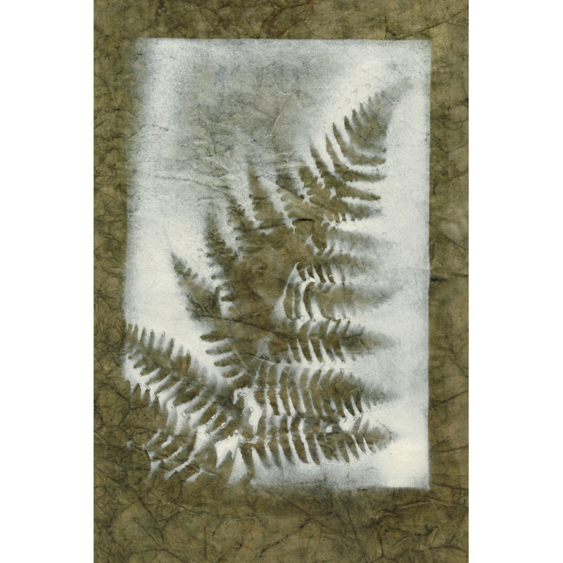 Shadows & Ferns I - Wrapped Canvas Print, 122cm H x 81cm W x 3.8cm D