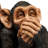 See/Hear/Speak No Evil Monkey Family Statue