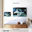 Trio de dauphins Brampt-107863825