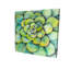 « succulent plante », reproduction de peinture à l’huile sur toile tendue-27975668