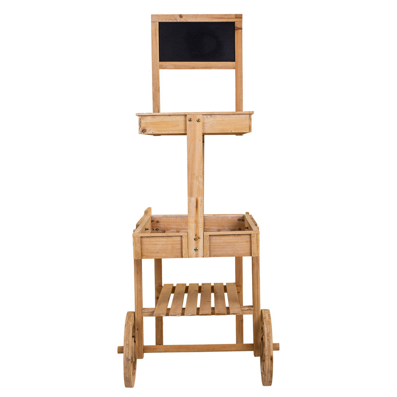 Haranu 55cm W Manufactured Wood Merchandiser with Wheels