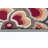 Elmer Transitional Floral Indoor Area Rug for Living Room, Dining Room, Bedroom-93364296-124526722