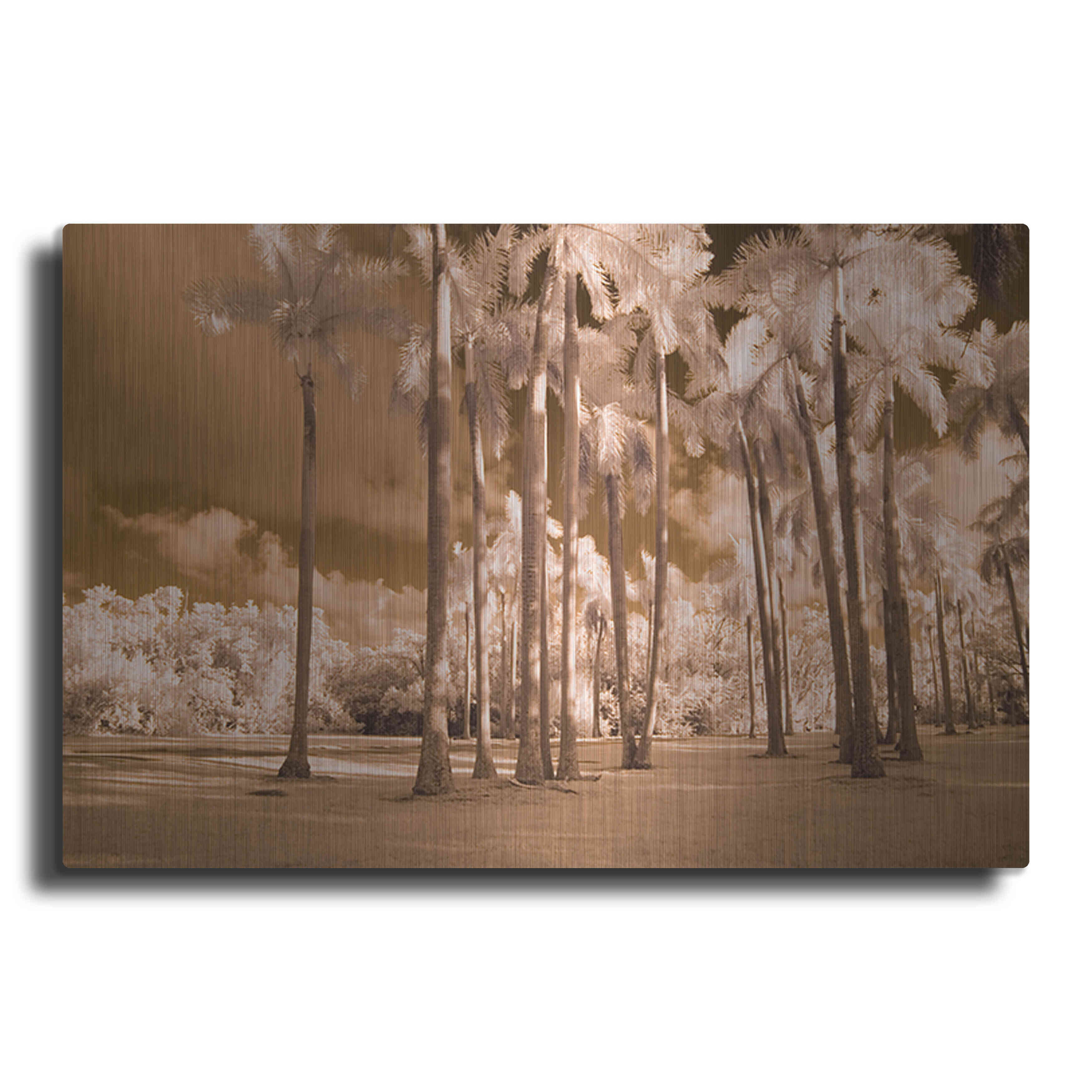 Bay Isle Home Luxe Metal Art 'Florida Palms' By Jadei Graphics