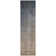 Ombre Rug