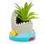 7 plantes