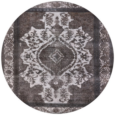 Sanora Oriental Indoor Rug