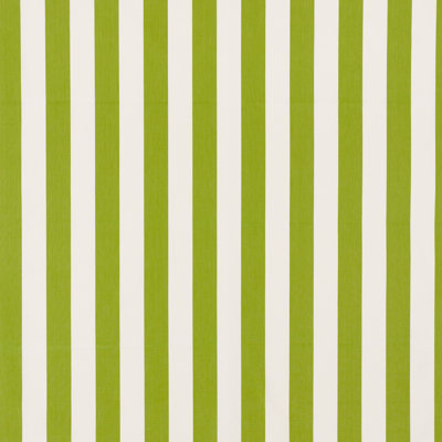 Andy Stripe Fabric