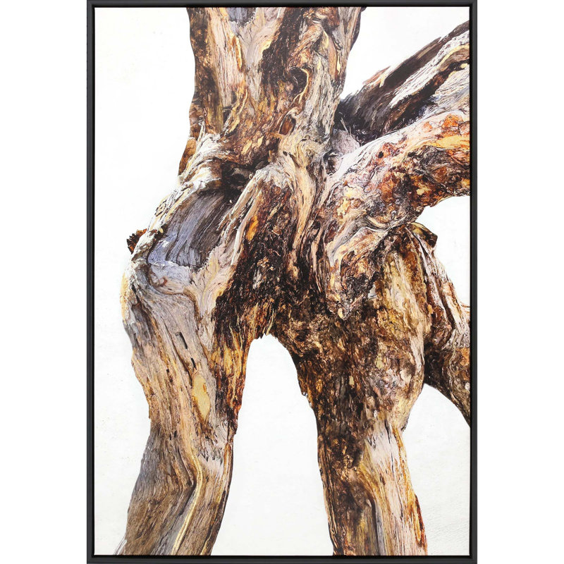 Tree of Life Canvas Print with Black Wood Frame
