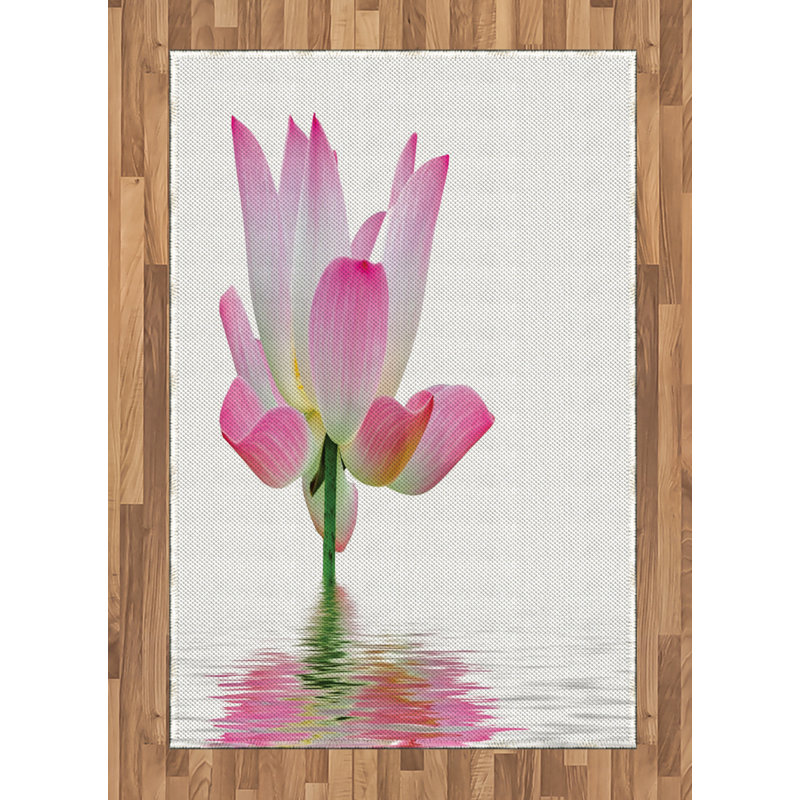 Pink and White High Density Long Fiber Poly Threads Decorative Area Rug Carpet, Rectangle 4' x 5'8"