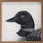 Loon By Robin Sue Studio-1975076353