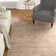 Kelch Hand Knotted Indoor Rug