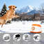 Chien automatique de 26 à 79 pi avec 3 réglages de démarrage, alimenté par pile, télécommandée et 6 balles pour chiens actifs 26,2 78,7: modes, conception à faible bruit, pile de 5200 mah, télécommande