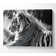 Tiger Resting - Wrapped Canvas Print