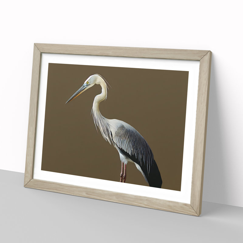 A Head Turning Heron Bird - Single Picture Frame Print, 34cm H x 46cm W x 2cm D, Oak