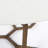 Gaudreau Clevie Coffee Table
