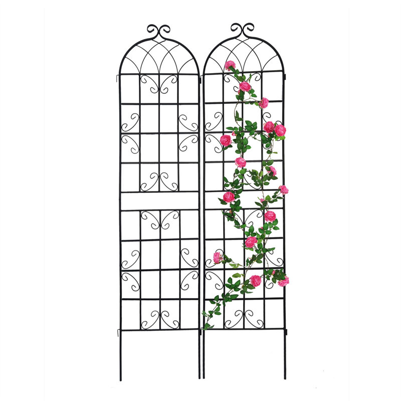 Doranna 86.7'' H x 40'' W Metal Arched Trellis