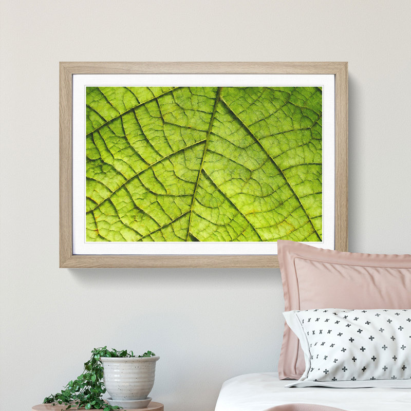 Leaf Roads - Picture Frame Graphic Art Print, 24cm H x 33cm W x 2cm D, Oak Framed