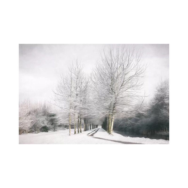 Winter Is Here by Lars Van De Goor - Wrapped Canvas Print, 20.32 cm H x 30.48 cm W