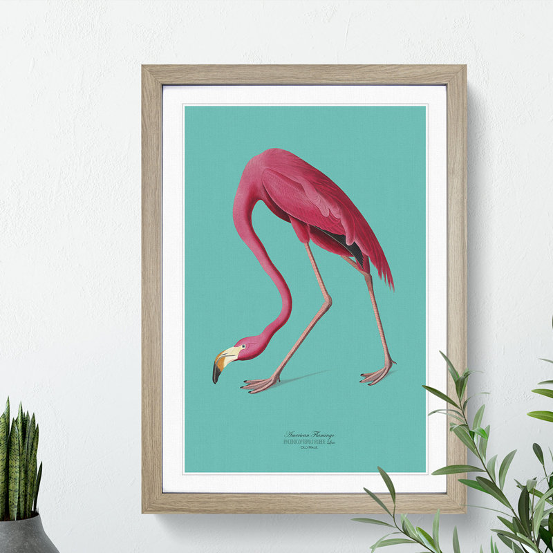 Flamingo in Teal by John Audubon - Picture Frame Graphic Art Print on MDF, Oak Framed, 65cm H x 48cm W x 2cm D