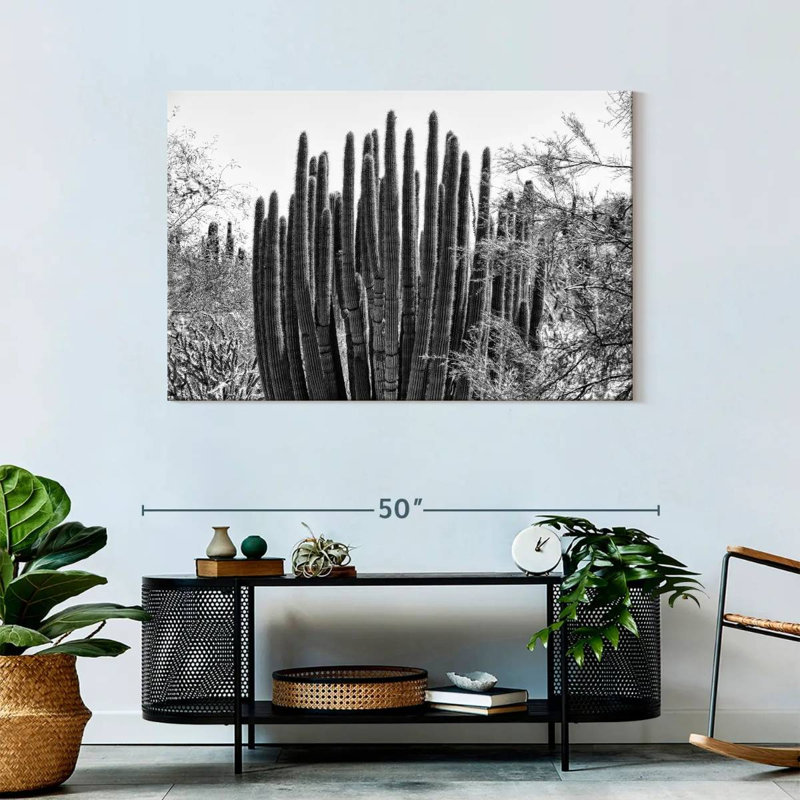 Harnek - Arizona noir - gros cactus, H 30 po x l 45 po