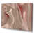Wrapped Canvas