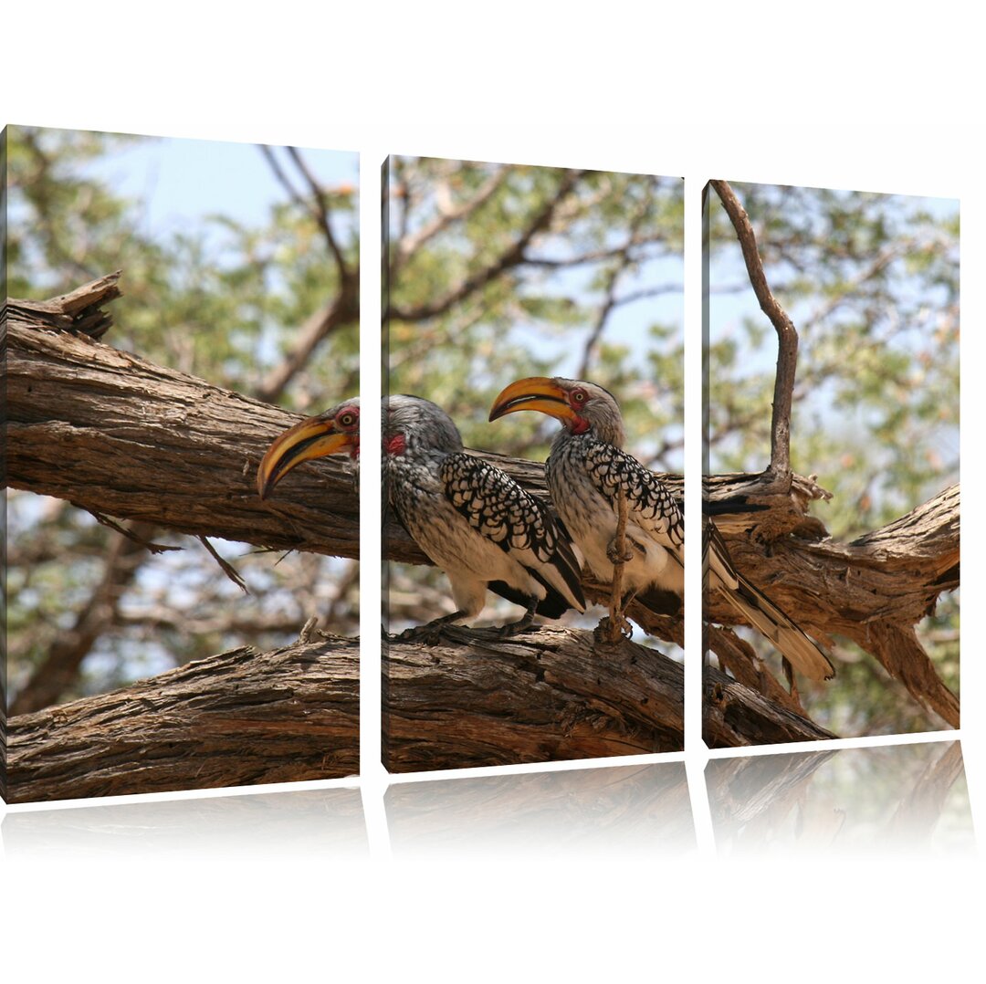 3-tlg. Leinwandbilder-Set „Zwei exotische Vögel auf einem Baum“, Fotodruck