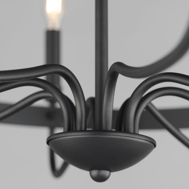 Lustre Frankie, Noir