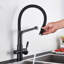 Belfry Kitchen Armana Kitchen Faucet