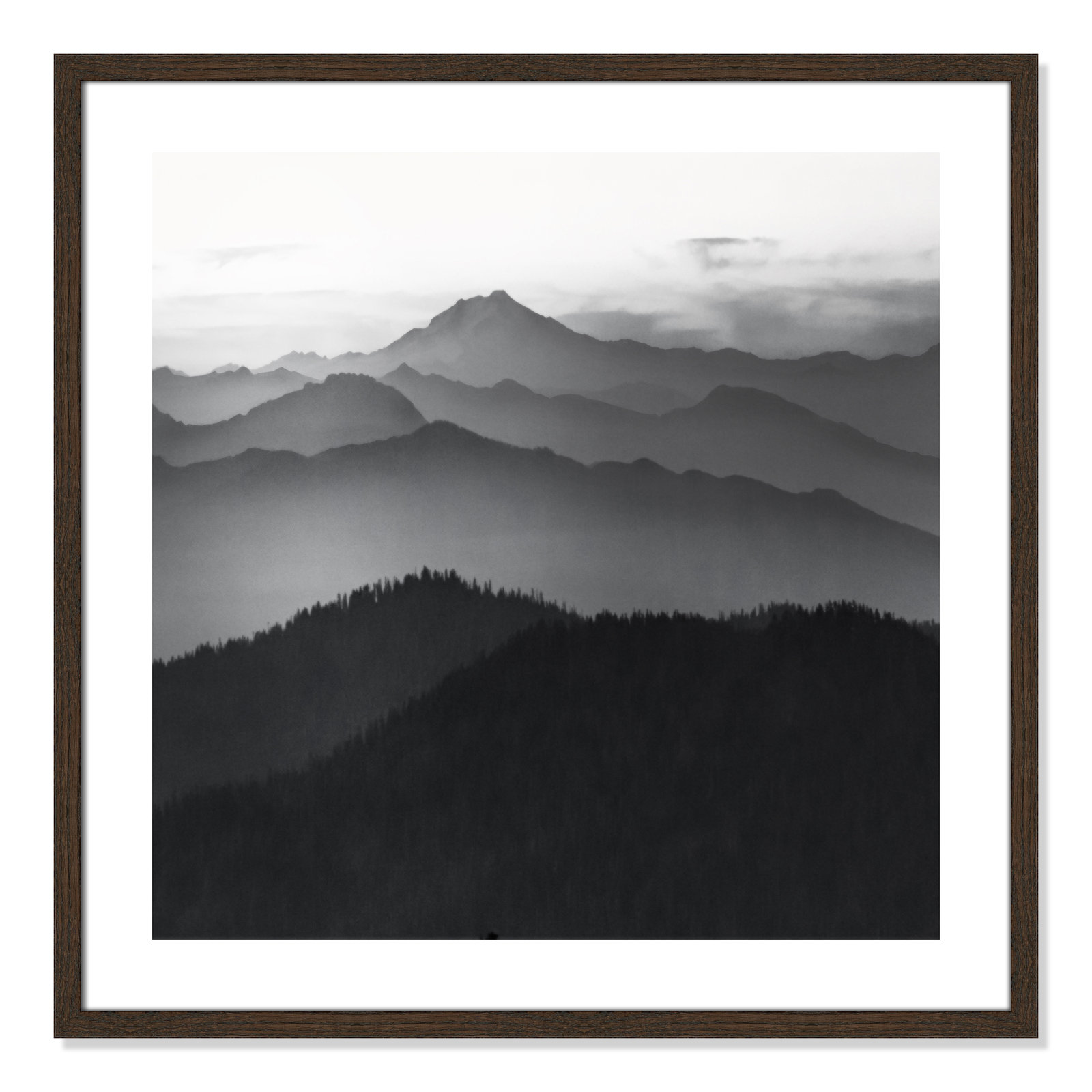 Cascades by Danita Delimont, 27.5" H x 27.5" W x 0.75" D, Walnut Framed