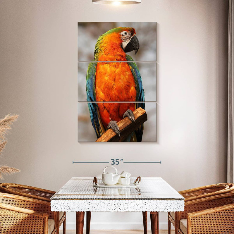 Brampt Catalina Macaw, 57" H x 36" W