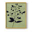 Earthly Botanical II, reproduction encadrée - bois massif-279013838-279013839