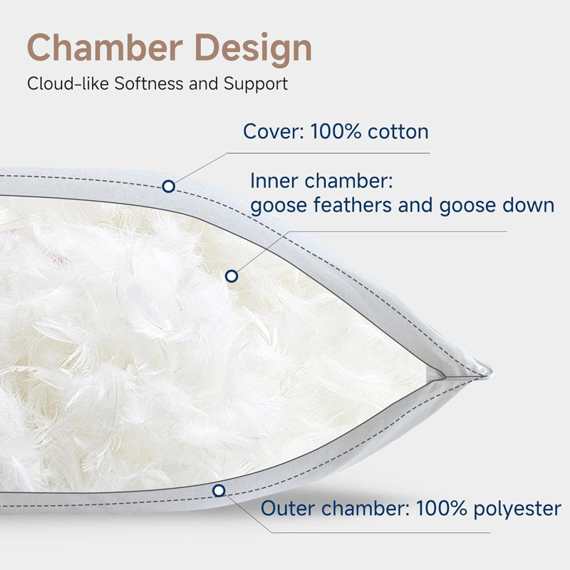 Ensemble de 2 oreillers en duvet d'oie, oreiller de couchage en duvet d'oie, chambres extérieures en polyester moelleux avec housse 100% coton, pour ceux qui dorment sur le dos