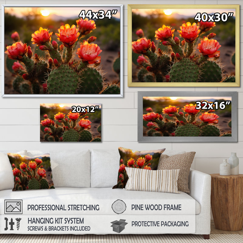 Champ de cactus rouge et vert avec coucher de soleil I - impression, H 24 po x l 32 po x P 1 po, Toile tendue